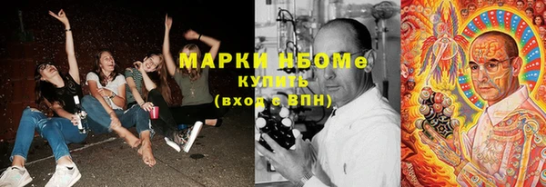 прущие грибы Богородицк