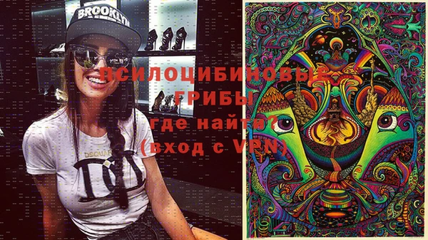 твердый Балахна
