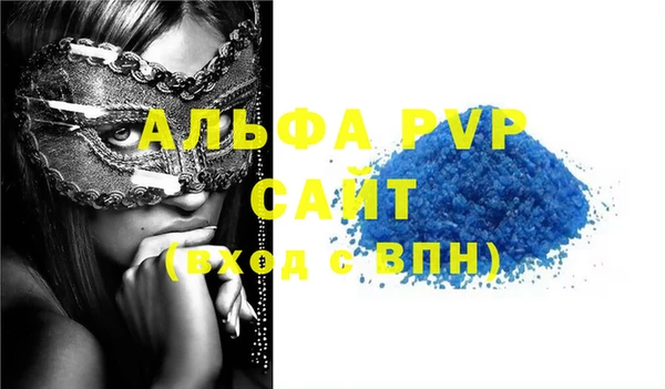 прущие грибы Богородицк