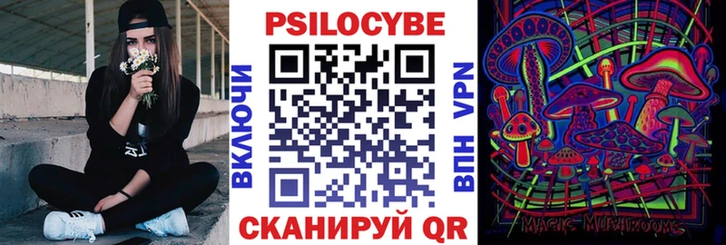Псилоцибиновые грибы Psilocybe  Боровск 